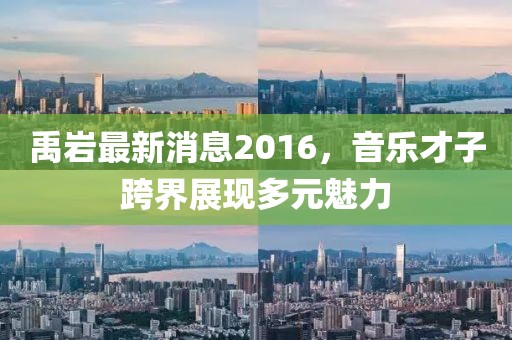 禹巖最新消息2016，音樂(lè)才子跨界展現(xiàn)多元魅力