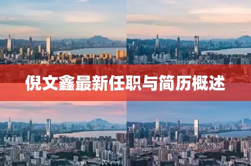 倪文鑫最新任職與簡(jiǎn)歷概述