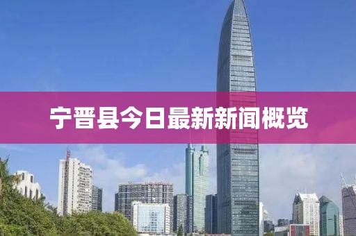 寧晉縣今日最新新聞概覽