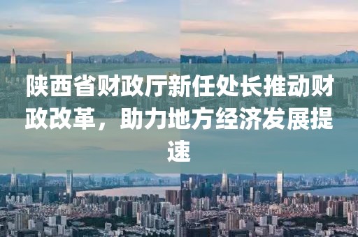 陜西省財政廳新任處長推動財政改革，助力地方經(jīng)濟(jì)發(fā)展提速
