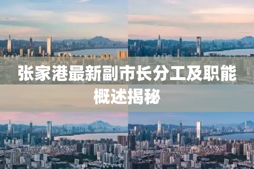 張家港最新副市長分工及職能概述揭秘