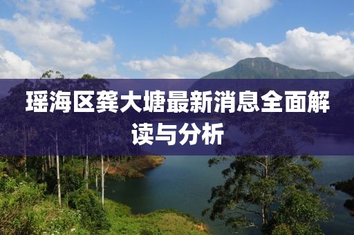 瑤海區(qū)龔大塘最新消息全面解讀與分析