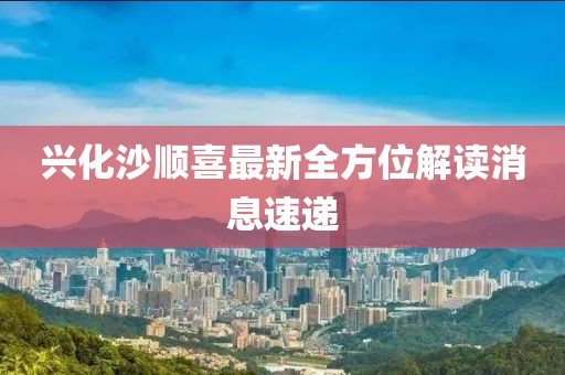 興化沙順喜最新全方位解讀消息速遞