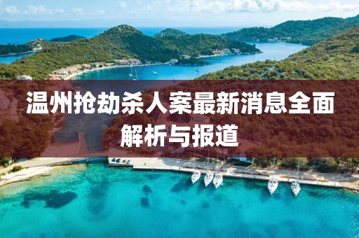 溫州搶劫殺人案最新消息全面解析與報(bào)道