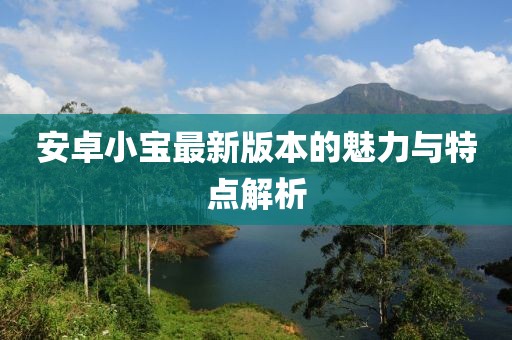 安卓小寶最新版本的魅力與特點解析