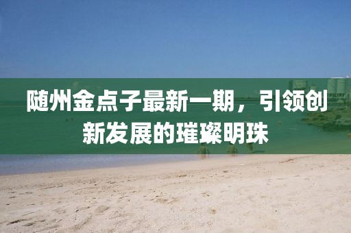 隨州金點(diǎn)子最新一期，引領(lǐng)創(chuàng)新發(fā)展的璀璨明珠