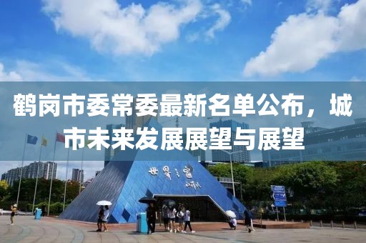 鶴崗市委常委最新名單公布，城市未來(lái)發(fā)展展望與展望