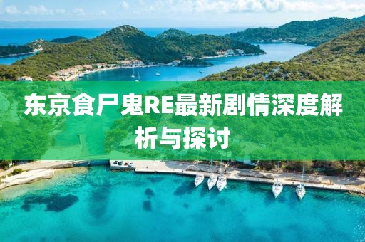 東京食尸鬼RE最新劇情深度解析與探討