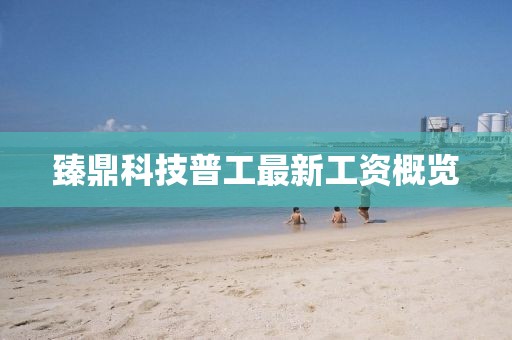 臻鼎科技普工最新工資概覽