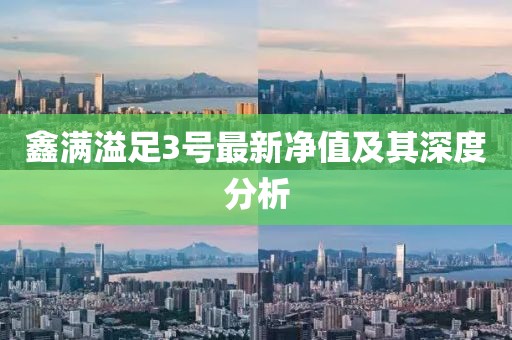 鑫滿溢足3號最新凈值及其深度分析
