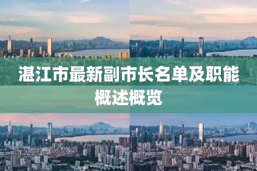 湛江市最新副市長名單及職能概述概覽