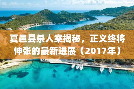 夏邑縣殺人案揭秘，正義終將伸張的最新進(jìn)展（2017年）