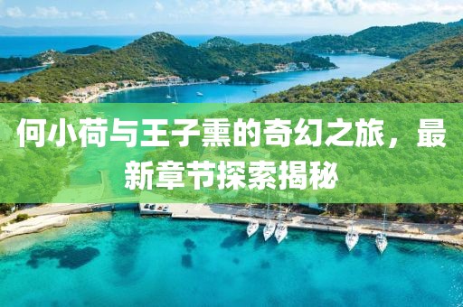 何小荷與王子熏的奇幻之旅，最新章節(jié)探索揭秘