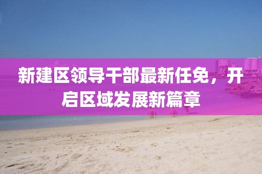 新建區(qū)領(lǐng)導(dǎo)干部最新任免，開啟區(qū)域發(fā)展新篇章
