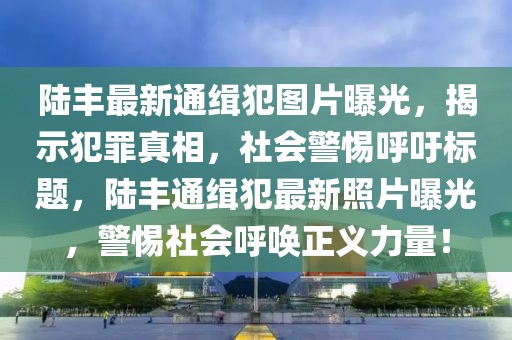 陸豐最新通緝犯圖片曝光，揭示犯罪真相，社會(huì)警惕呼吁標(biāo)題，陸豐通緝犯最新照片曝光，警惕社會(huì)呼喚正義力量！