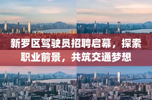 新羅區(qū)駕駛員招聘啟幕，探索職業(yè)前景，共筑交通夢(mèng)想