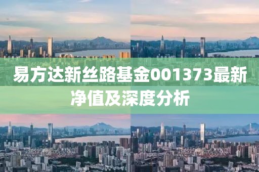易方達(dá)新絲路基金001373最新凈值及深度分析