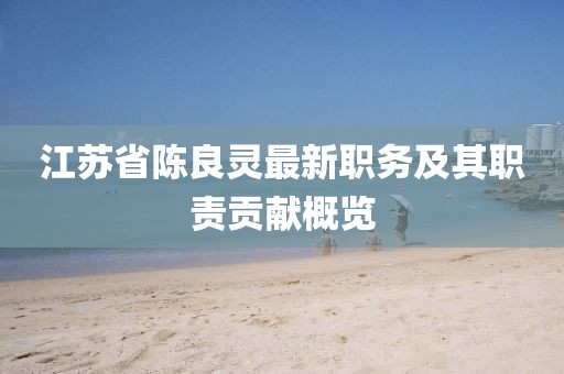 江蘇省陳良靈最新職務(wù)及其職責貢獻概覽