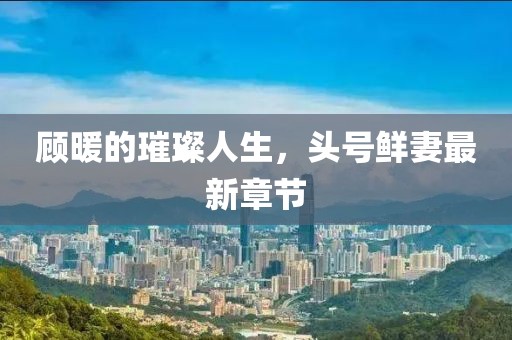 顧暖的璀璨人生，頭號鮮妻最新章節(jié)