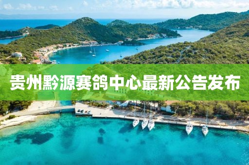 貴州黔源賽鴿中心最新公告發(fā)布