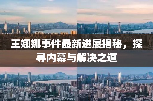 王娜娜事件最新進展揭秘，探尋內(nèi)幕與解決之道