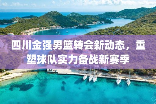 四川金強(qiáng)男籃轉(zhuǎn)會(huì)新動(dòng)態(tài)，重塑球隊(duì)實(shí)力備戰(zhàn)新賽季