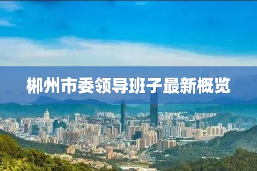 郴州市委領(lǐng)導(dǎo)班子最新概覽