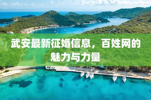 武安最新征婚信息，百姓網(wǎng)的魅力與力量