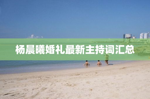 楊晨曦婚禮最新主持詞匯總