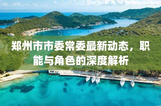 鄭州市市委常委最新動態(tài)，職能與角色的深度解析