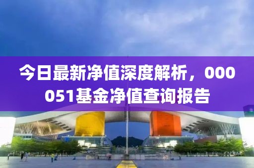 今日最新凈值深度解析，000051基金凈值查詢報(bào)告