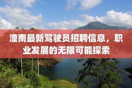 潼南最新駕駛員招聘信息，職業(yè)發(fā)展的無(wú)限可能探索