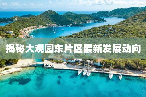 揭秘大觀園東片區(qū)最新發(fā)展動向