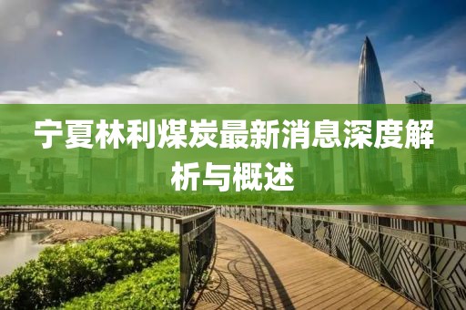 寧夏林利煤炭最新消息深度解析與概述