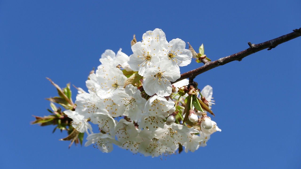 興永郴贛鐵路進(jìn)展順利，助力區(qū)域經(jīng)濟(jì)發(fā)展新動(dòng)態(tài)