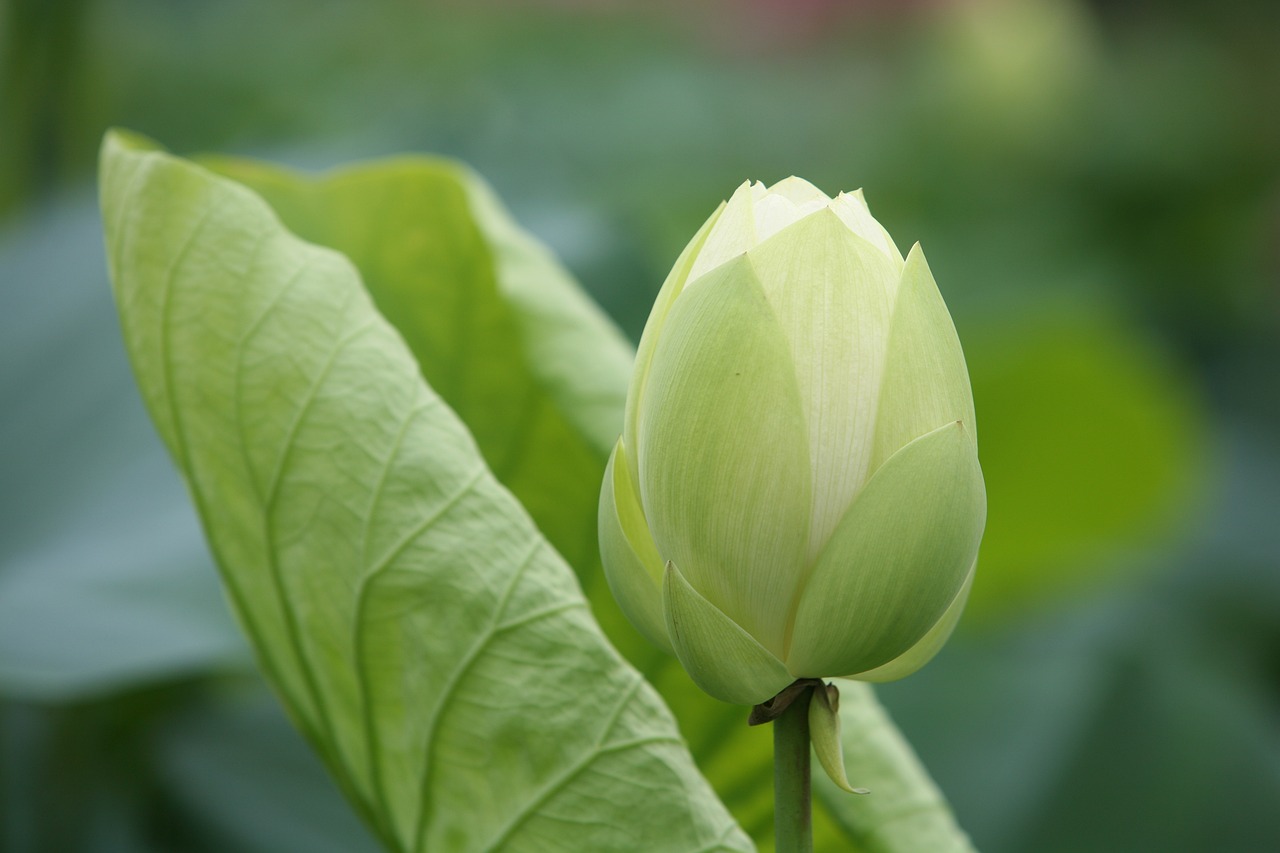 大地傳媒重組最新動(dòng)態(tài)，重塑傳媒產(chǎn)業(yè)格局取得重大進(jìn)展