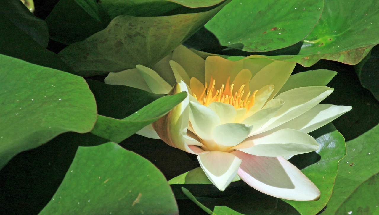 江門瓏湖灣未來繁華啟幕，最新動(dòng)態(tài)揭示未來發(fā)展新篇章
