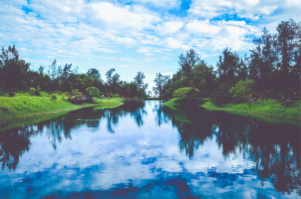 韓國(guó)薩德最新動(dòng)態(tài)，全球關(guān)注下的焦點(diǎn)事件分析視頻揭秘最新消息