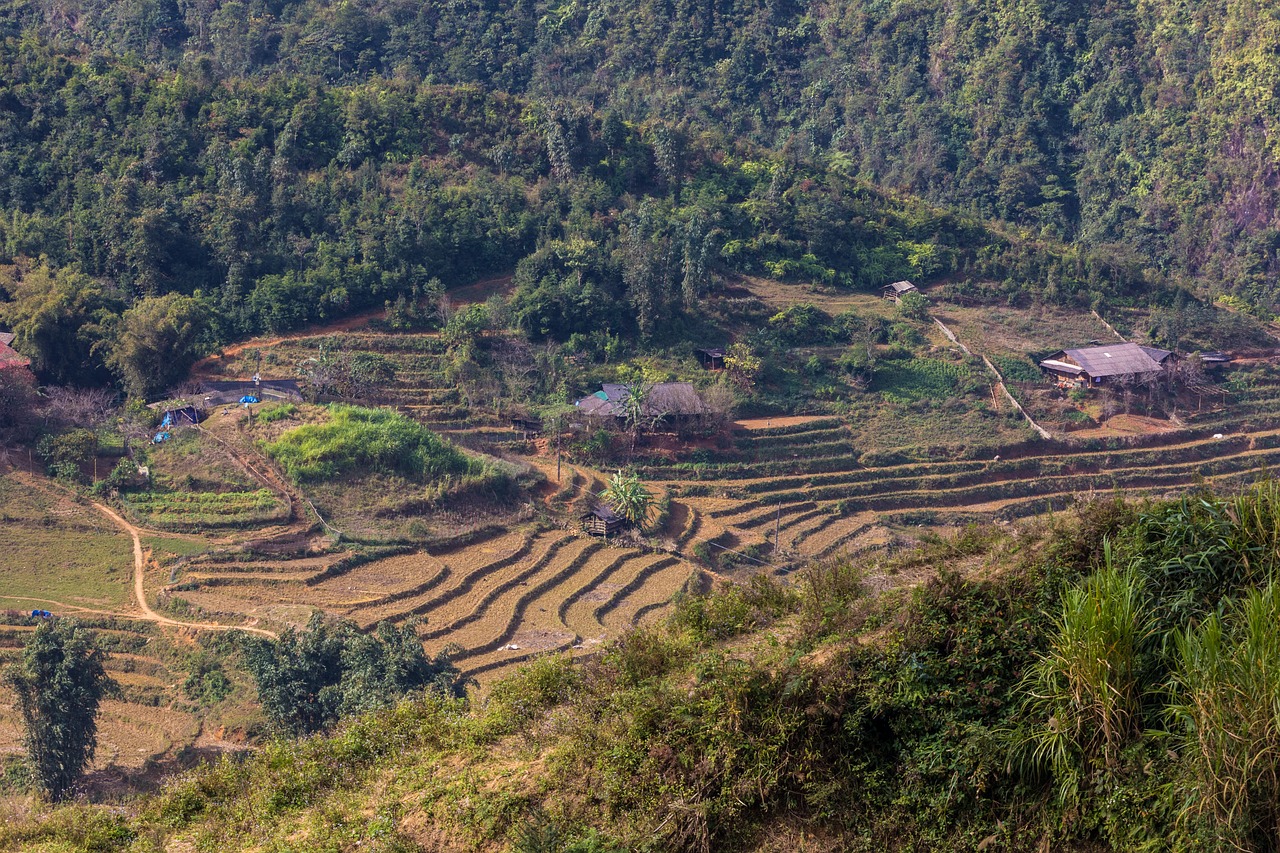 符離鎮(zhèn)最新規(guī)劃圖揭曉，展望繁榮未來(lái)，符離鎮(zhèn)2016規(guī)劃展望