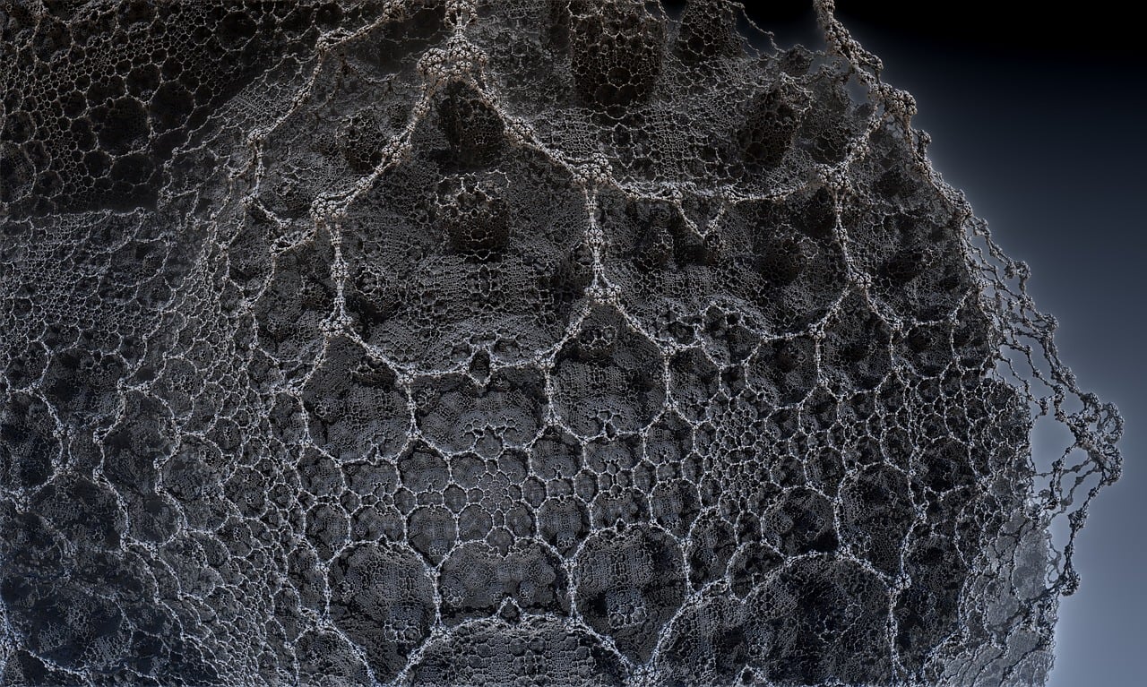 湛江李昌梧最新動態(tài)，傳奇人物的嶄新篇章