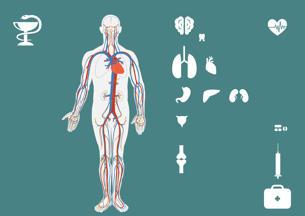 急診搶救流程圖優(yōu)化，提升搶救成功率與急救服務質(zhì)量