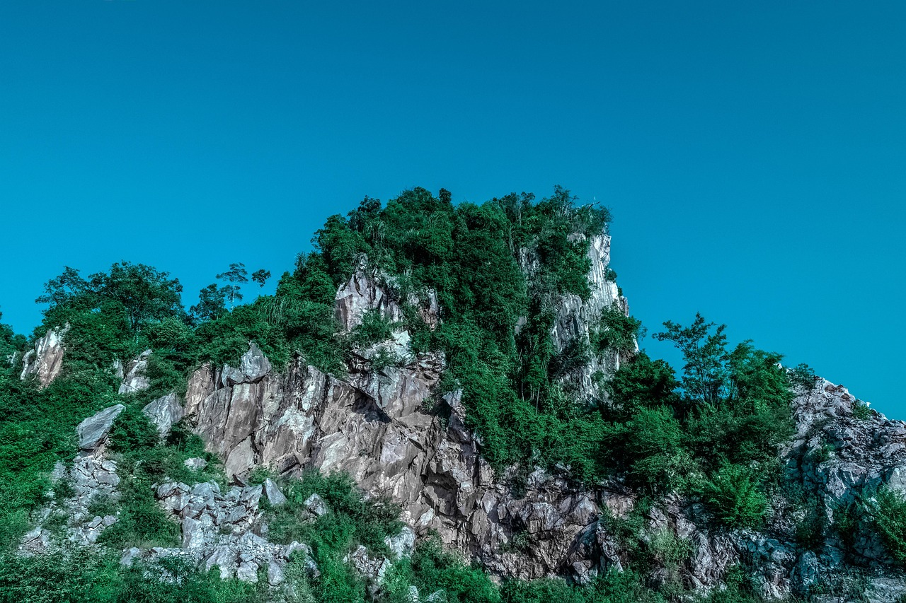 傳藝科技股票最新消息綜述，掌握最新動態(tài)，洞悉股市走向