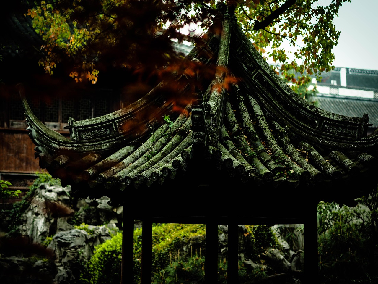 中國女排隊蓄勢待發(fā)，展現新篇章，最新消息與動態(tài)速遞