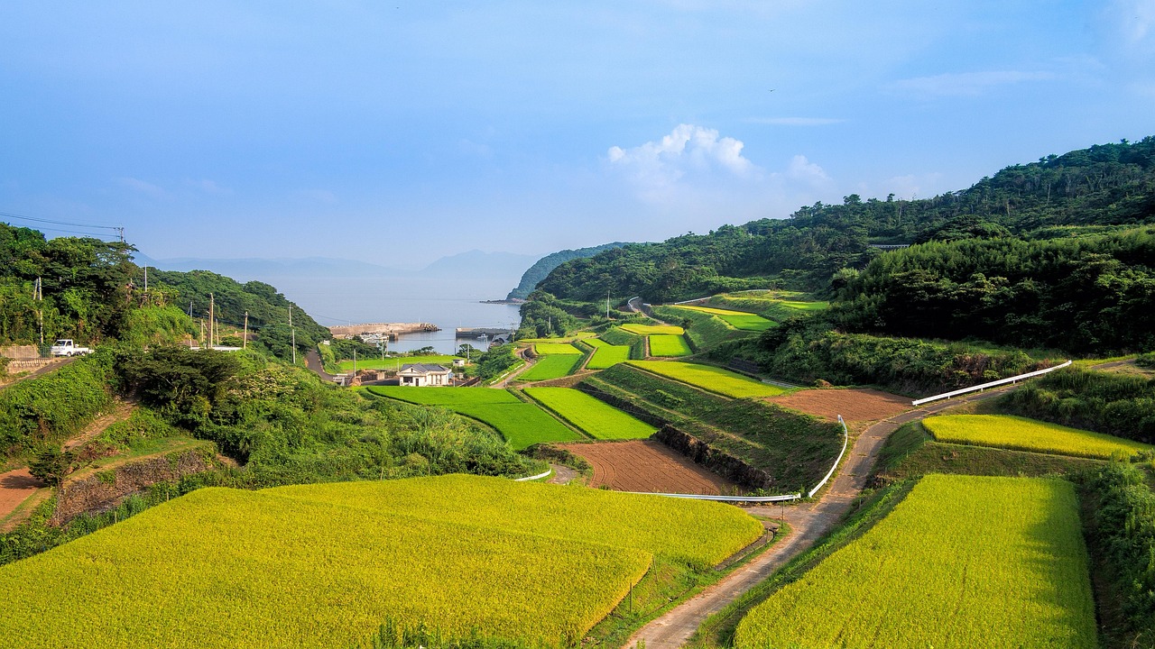 廣西靈山高速建設(shè)進(jìn)展揭秘，最新消息與未來(lái)展望