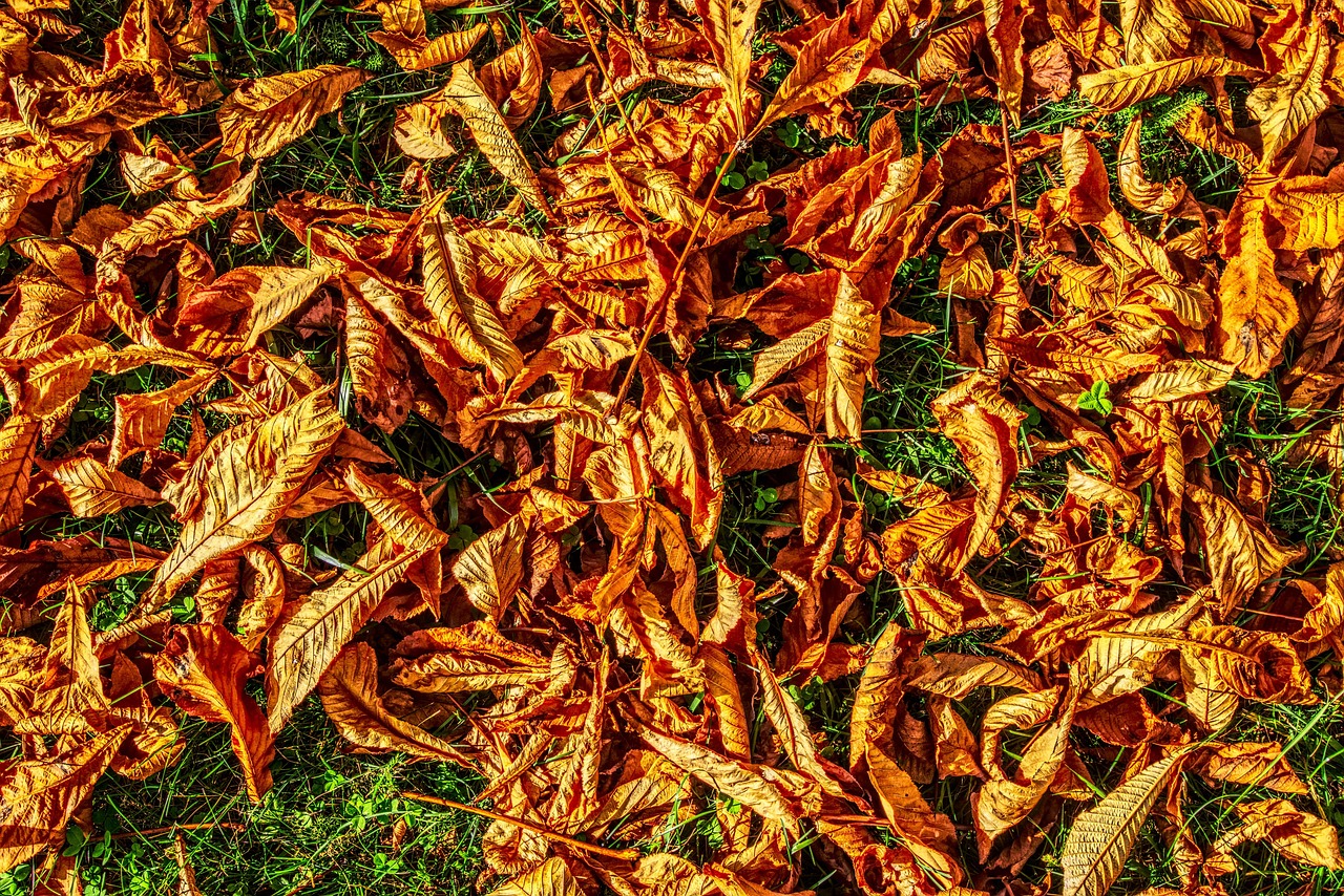 閆良招聘網(wǎng)最新招聘動(dòng)態(tài)深度解析及職位推薦