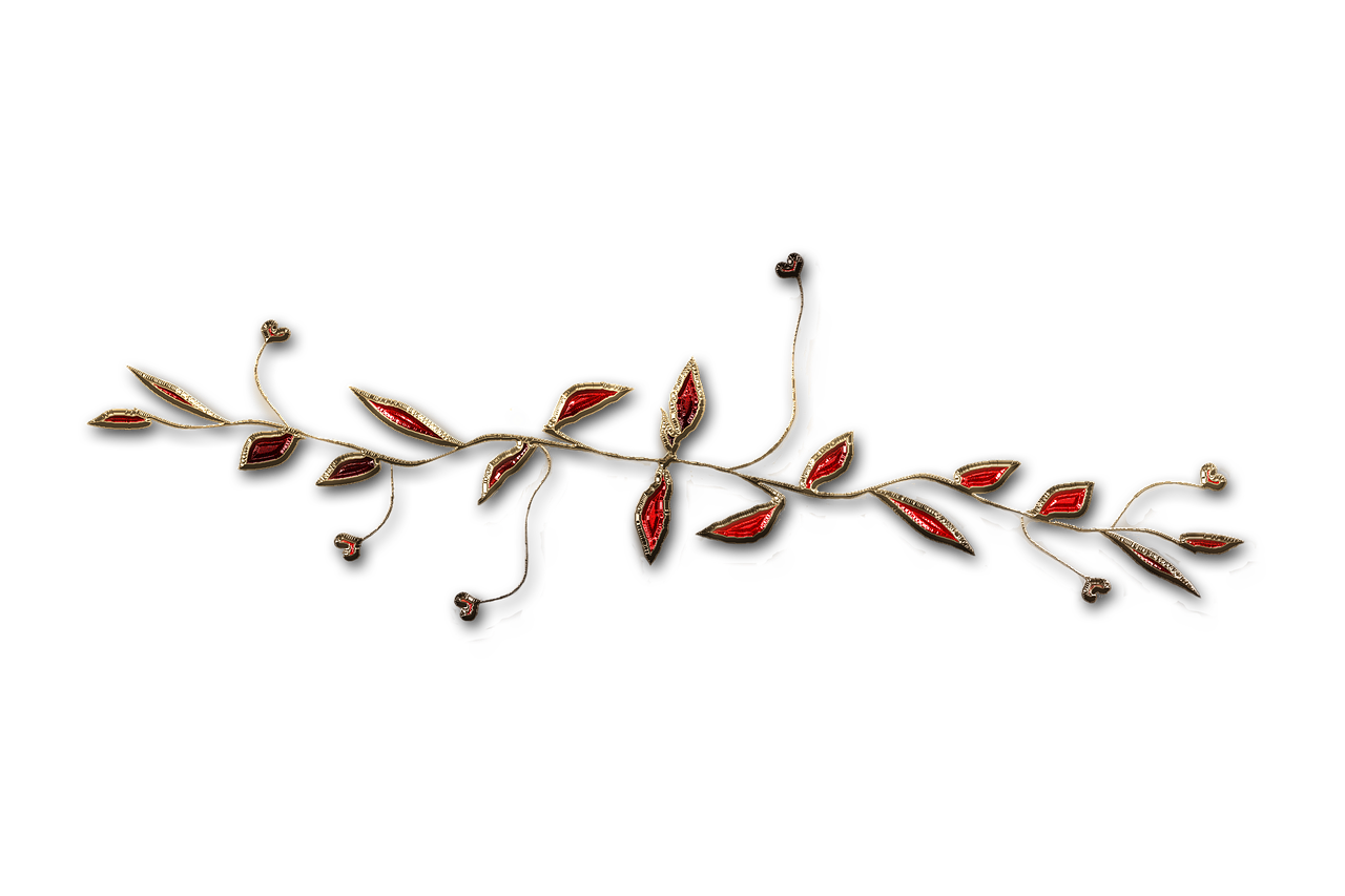廣西大紅八角產(chǎn)業(yè)蓬勃發(fā)展，前景廣闊，最新消息與動態(tài)