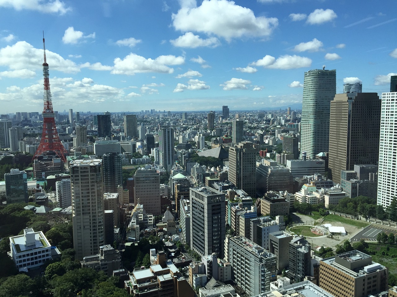 富力新城H11最新消息全面解析與更新速遞